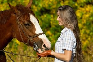 Be sure your horse always remains well-fed.