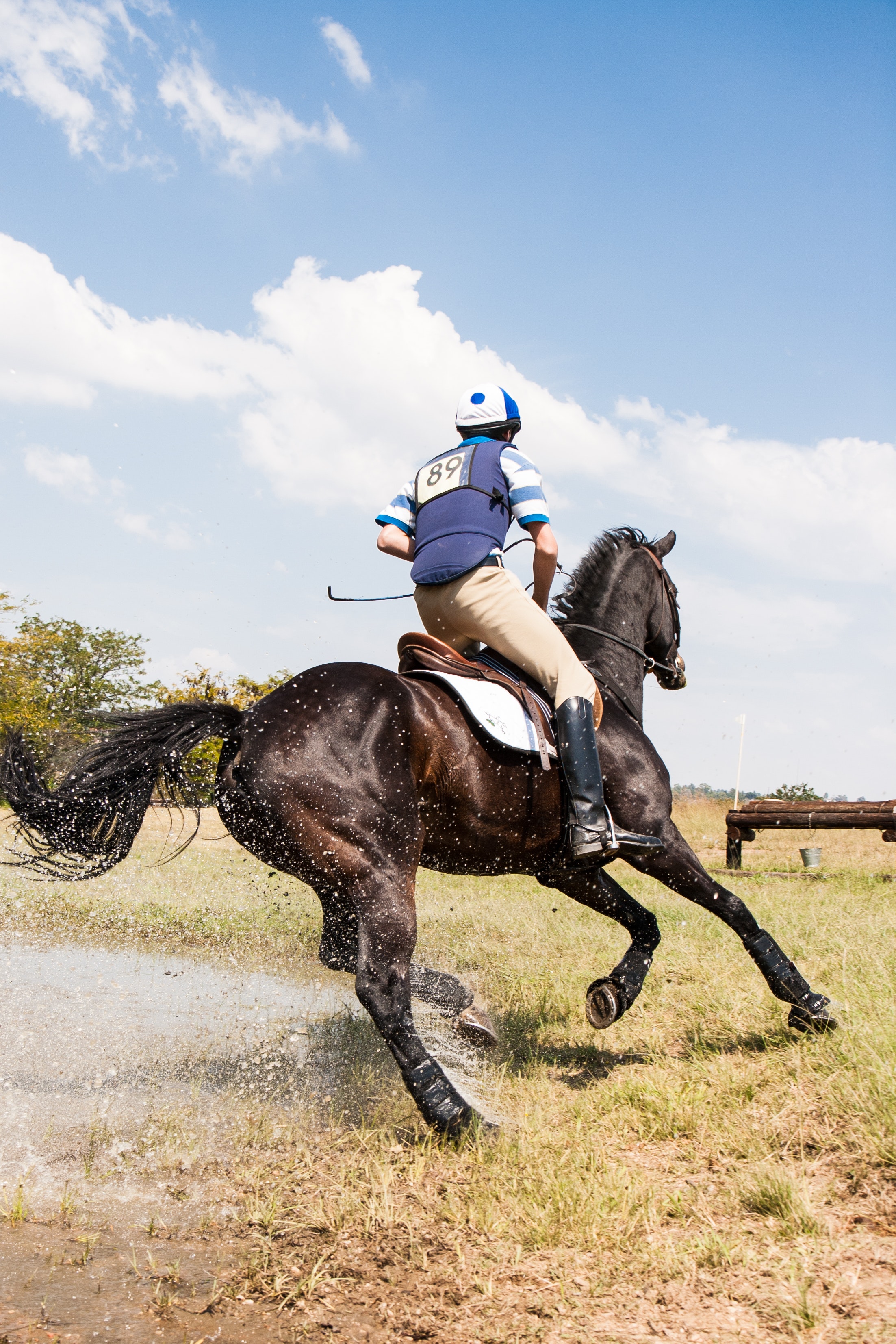 performance horse eventing