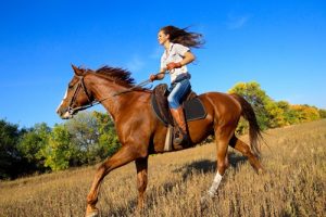 5 horse riding New Year's resolutions