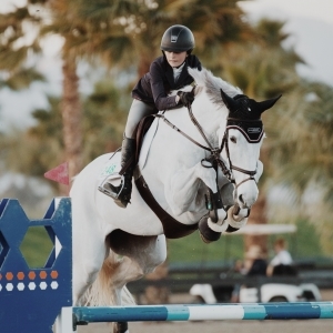 Iron in horses