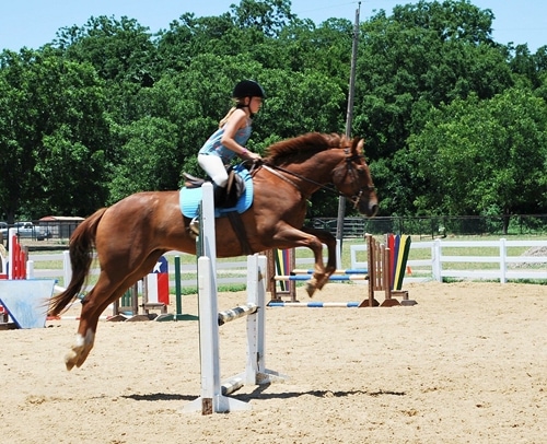 Riding horses requires strong leg, back, arm and core muscles.