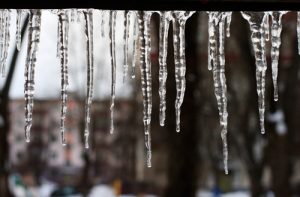 Horses need additional energy when the temperature falls below 18 degrees.