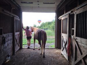 Spend time with your horse to show that you care.