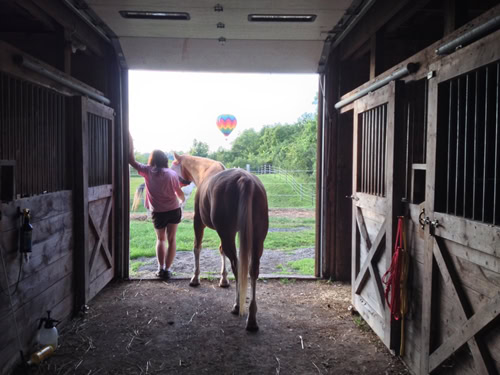 Spend time with your horse to show that you care.