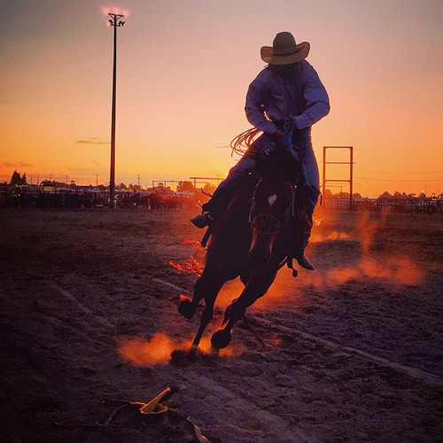 Take care of your tack so it doesn't break during performances.