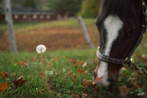 Welcome spring by cleaning the barn and readying for the warmer weather.