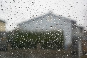Rainy weather puts your horse at risk for skin diseases, bug bites and thrush.