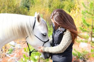 Although keeping your horses tick-free can be difficult, it's certainly not impossible.