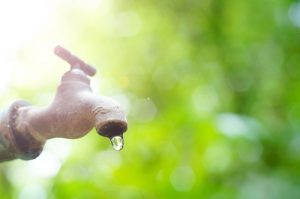 Electrolytes are essential for keeping active horses hydrated.