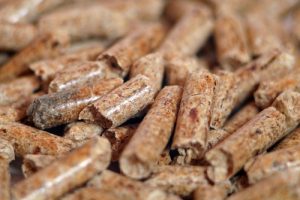 Pelleted feed is a better choice for older horses.