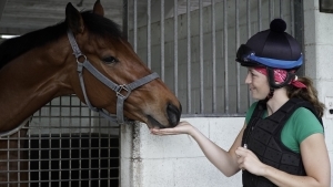 horse safety around children