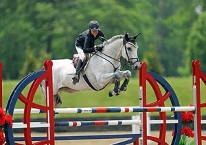 Leslie burr horward uses total control finish line horse