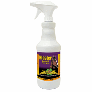 essential oil fly spray for horses