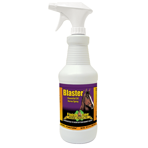 essential oil fly spray for horses