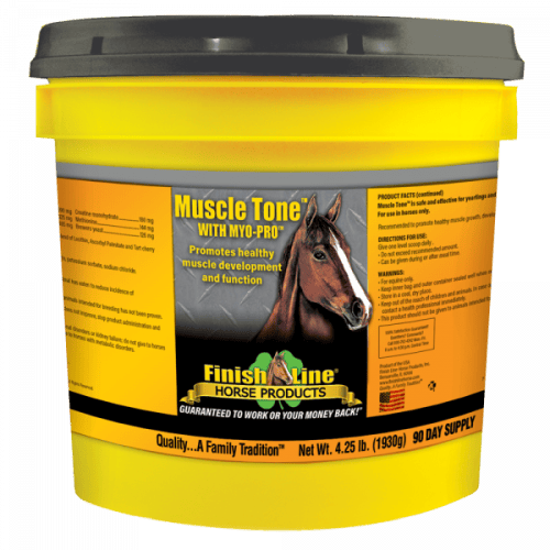 muscle building supplement for horses