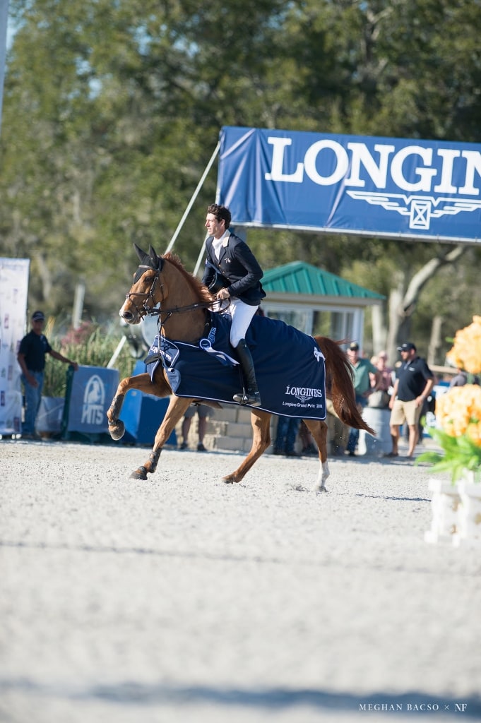 rowan willis winning show jumper