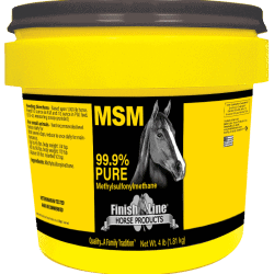 MSM for horse joints