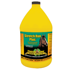 Recovery supplement for performance horses