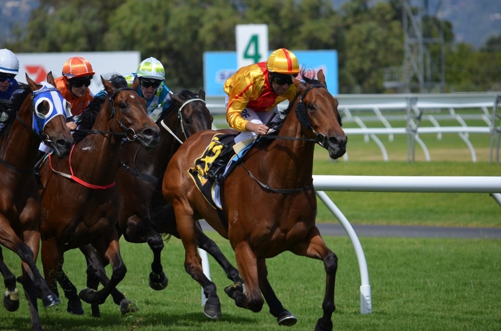 Capillary Strength in Horses