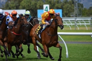 Capillary Strength in Horses