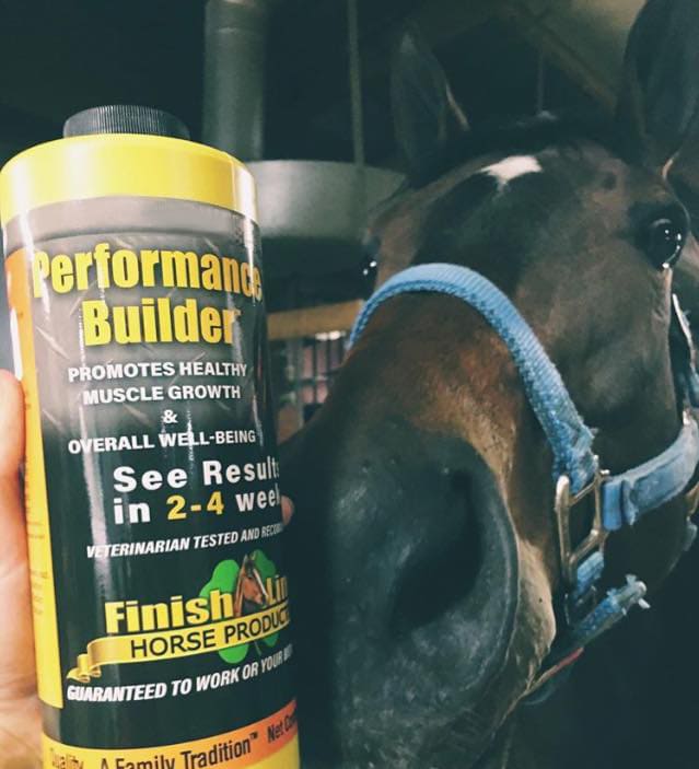 Horses look good on Finish Line
