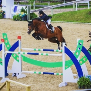 Endorser hall of fame show jumper Margie engle on royce