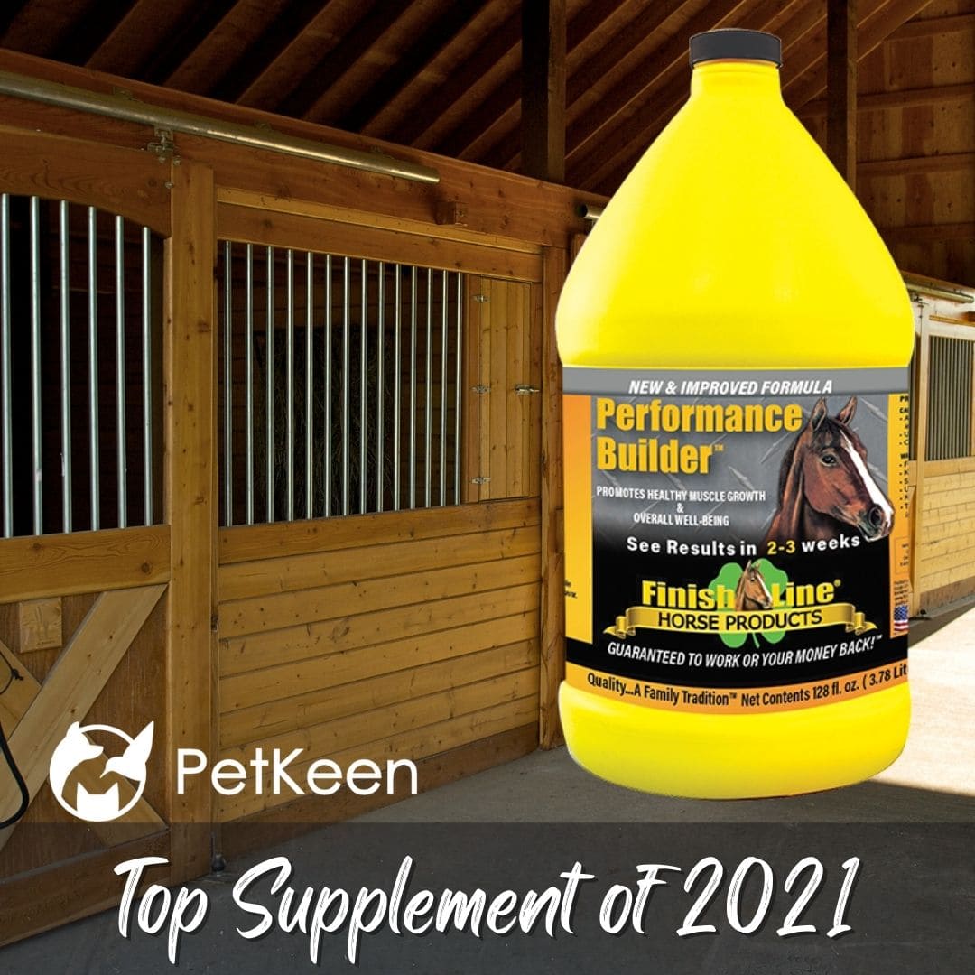 Performance Builder Top Supplement